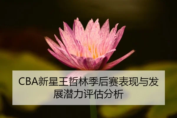 xin-xing-wang-zhe-lin-ji-hou-sai-biao-xian-yu-fa-zhan-qian-li-ping-gu-fen-xi-2-302.jpg
